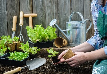 Person gardening with tools