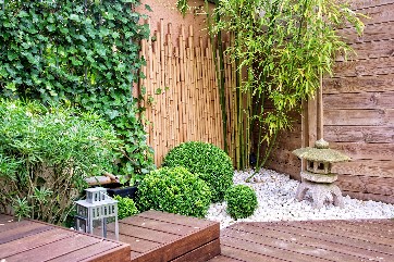 Beautiful gardens wellbeing article bamboo in garden