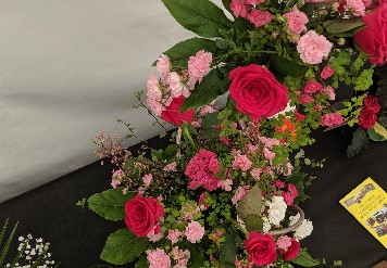 Shepperton Rose show entries (5)