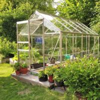How to Protect Your Garden During a Heatwave