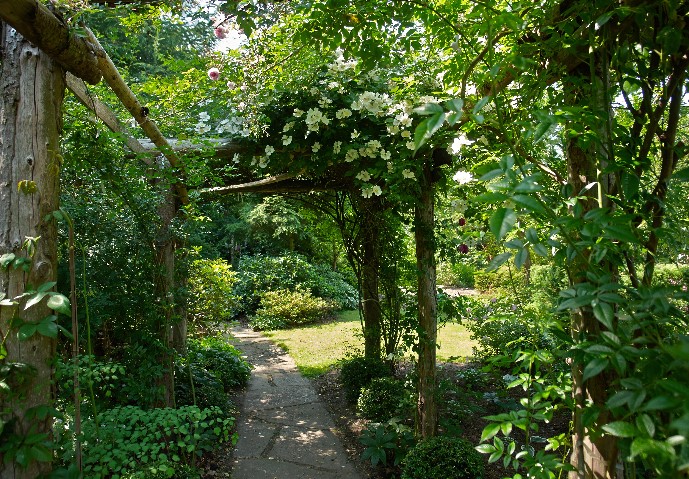 A garden path shaded by trees and bushes